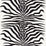 Scalamandre Zebra Black Fabric Sample SC16366M0001