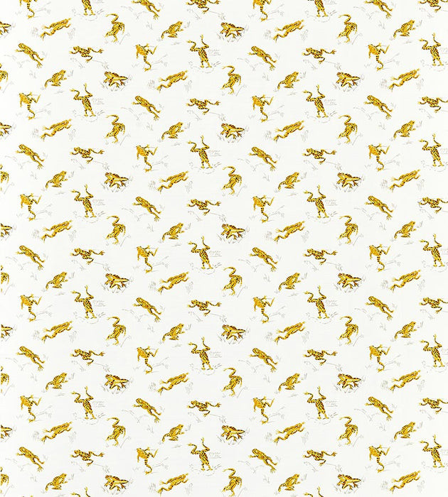 Scalamandre Calabasas County - Outdoor Pineapple Fabric SC16426M0001