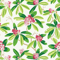 Scalamandre Rhododendron - Outdoor Fuschia Fabric SC16454M0001
