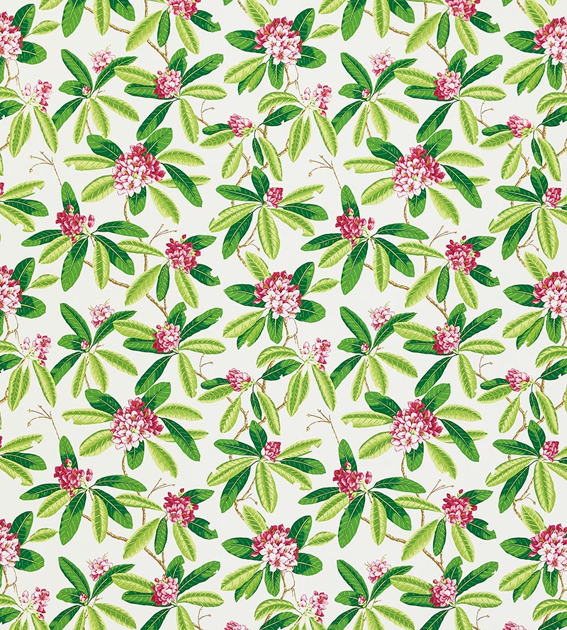 Scalamandre Rhododendron - Outdoor Fuschia Fabric Sample SC16454M0001