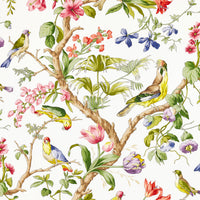 Scalamandre Belize Print Ivory Fabric SC166000001