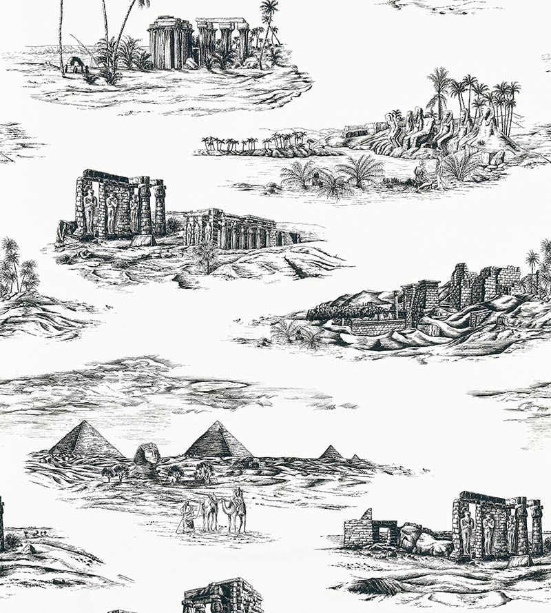 Scalamandre Cairo Toile Ink Fabric Sample SC166350001