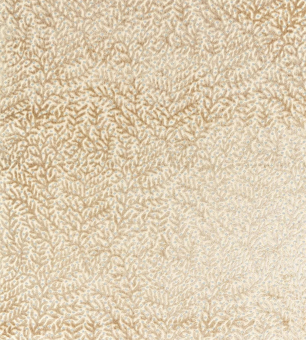 Scalamandre Corallina Velvet Pebble Beach Fabric Sample SC270770001