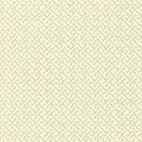 Scalamandre Mandarin Weave Celadon Fabric SC271020001