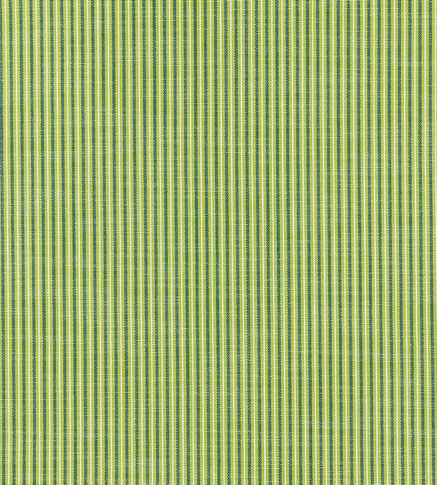 Scalamandre Tisbury Stripe Fern Fabric SC271090001