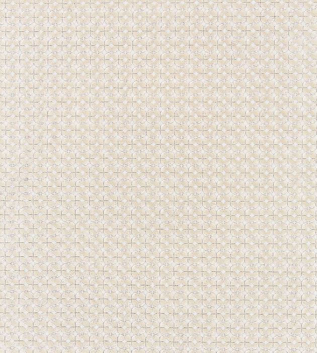 Scalamandre Floret Embroidery Champagne Fabric Sample SC271330001