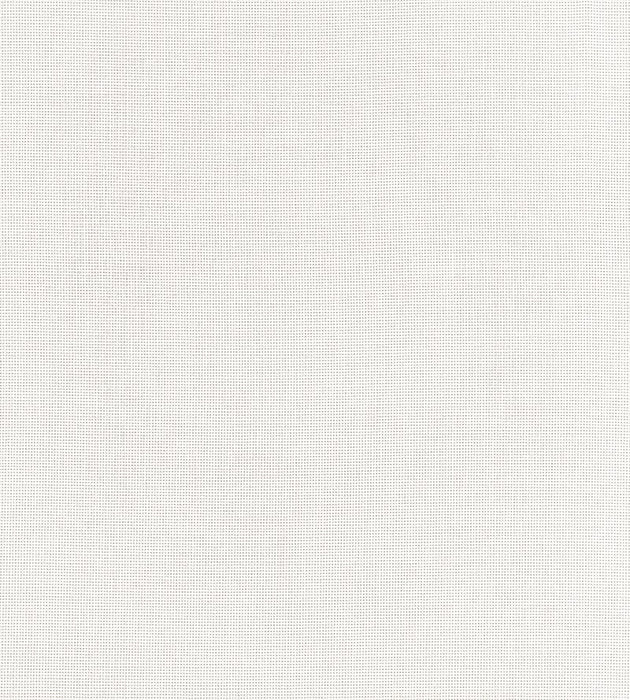 Scalamandre Aruba Sheer Whelk Fabric SC272010001