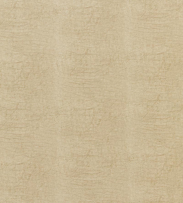 Scalamandre Cary Flax Fabric Sample SC272610001