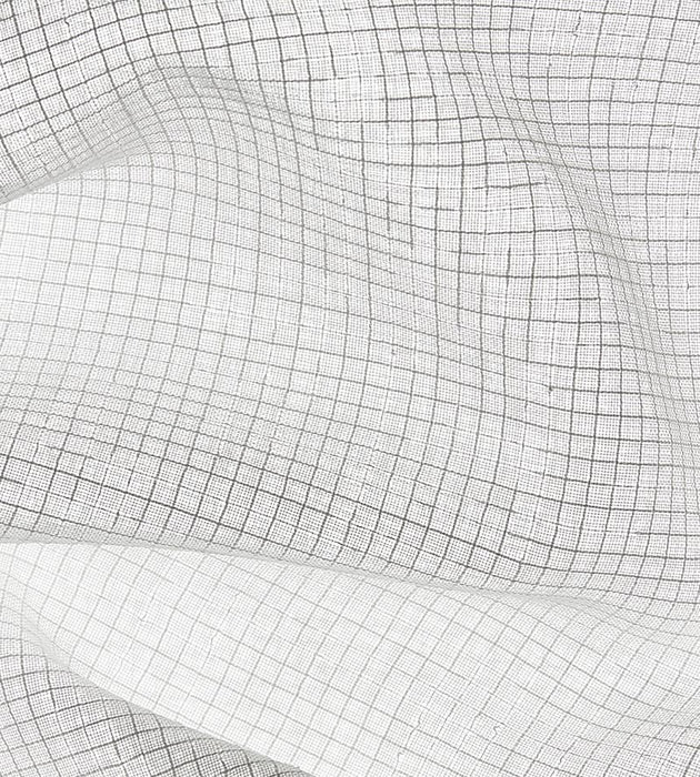 Scalamandre Pegasus Sheer Off White Fabric SC273000001
