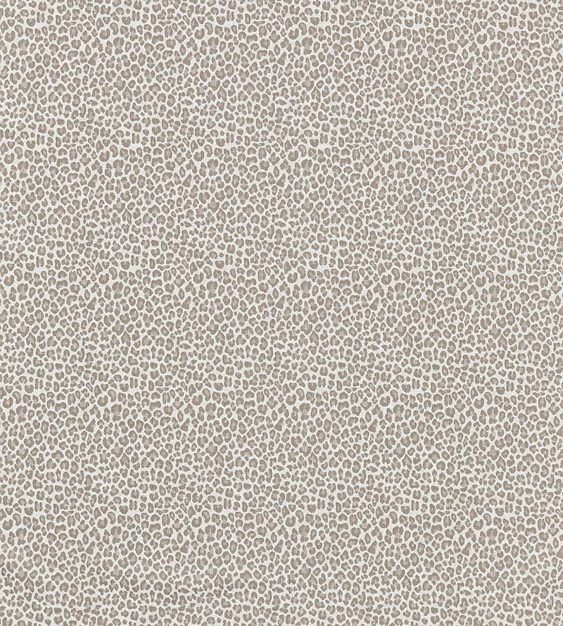 Scalamandre Backyard Bengal Limestone Fabric Sample SC273160001