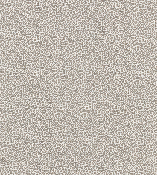 Scalamandre Backyard Bengal Limestone Fabric SC273160001