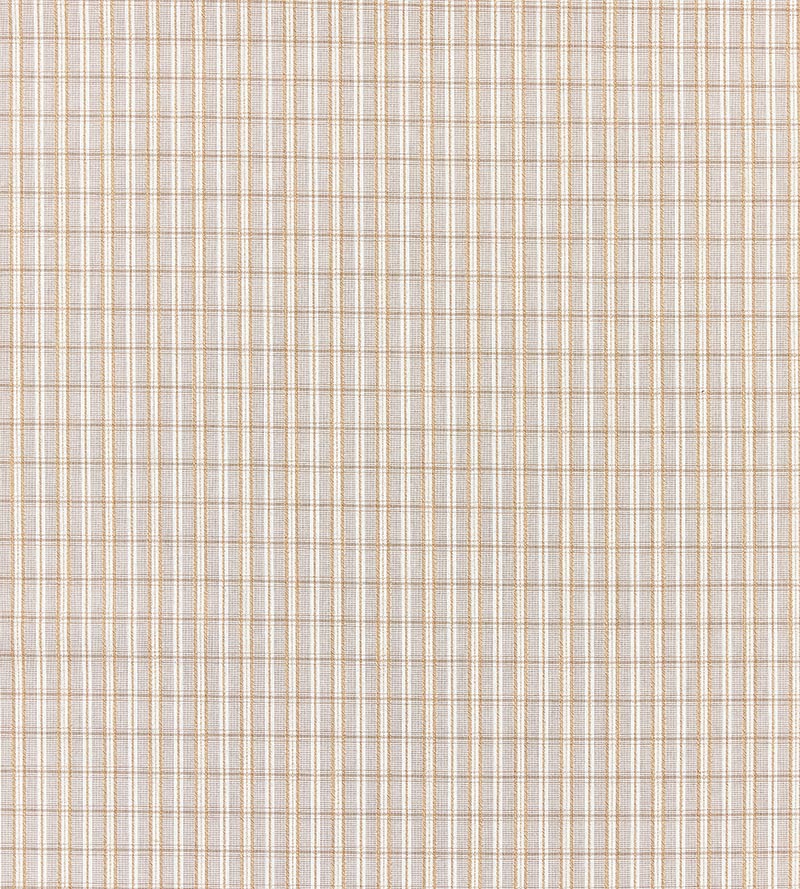 Scalamandre Check Please - Outdoor Birch Fabric Sample SC273180001
