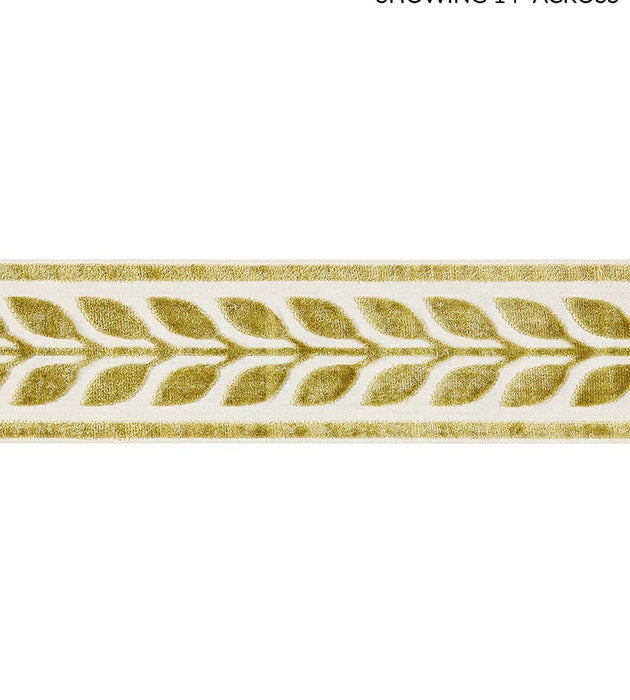 Scalamandre Vigne Velvet Tape Vert Trim Sample SCT32780001