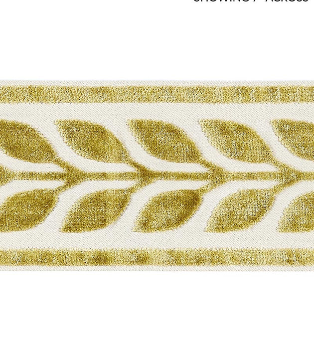 Scalamandre Vigne Velvet Tape Vert Trim SCT32780001