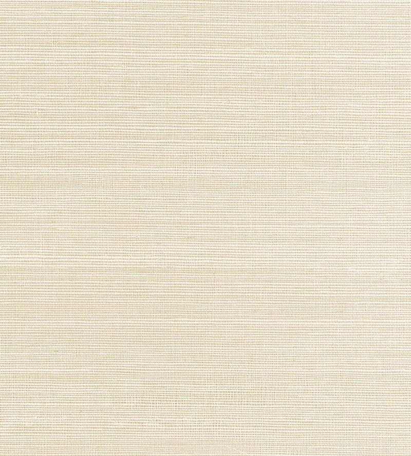 Scalamandre Fine Sisal Ivory Wallpaper Sample SCWP883410001