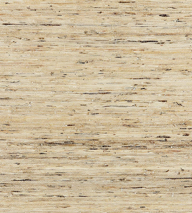 Scalamandre Arrowroot Weave Straw Wallpaper Sample SCWP883440001