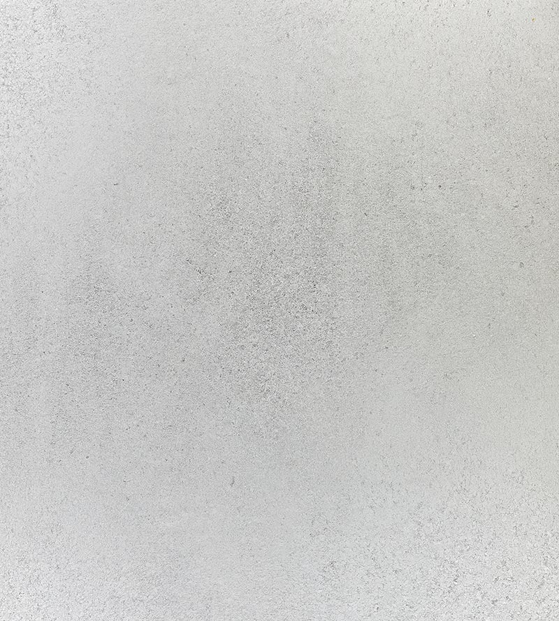 Scalamandre Majestry Silver Wallpaper Sample SCWP885160001