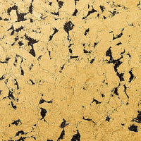 Scalamandre Obsidian Black Wallpaper SCWP885210001
