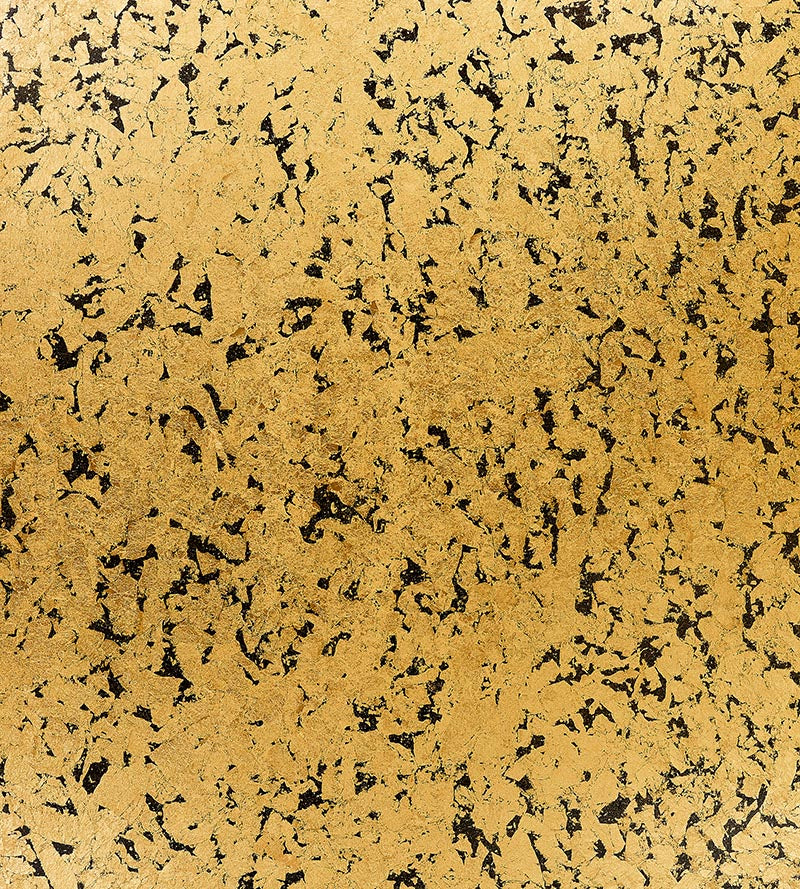 Scalamandre Obsidian Black Wallpaper SCWP885210001