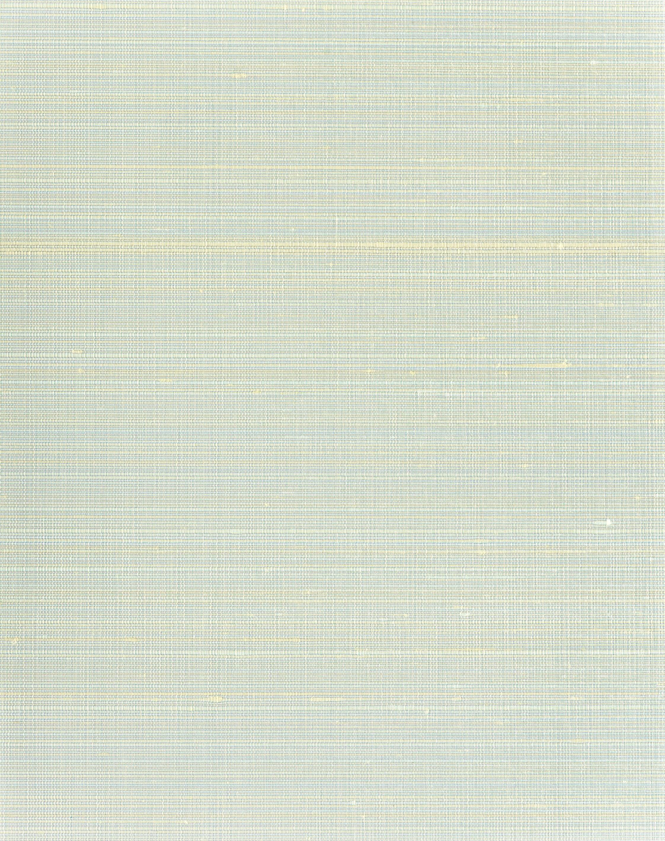 Scalamandre Ravi Sky Wallpaper Sample SCWP885740001