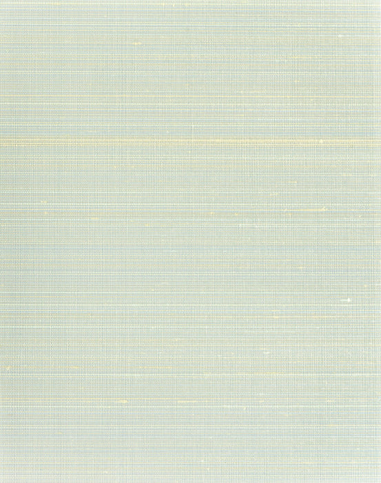 Scalamandre Ravi Sky Wallpaper Sample SCWP885740001