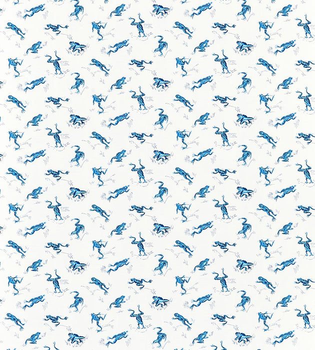 Scalamandre Calabasas County - Outdoor Creek Fabric SC16426M0002