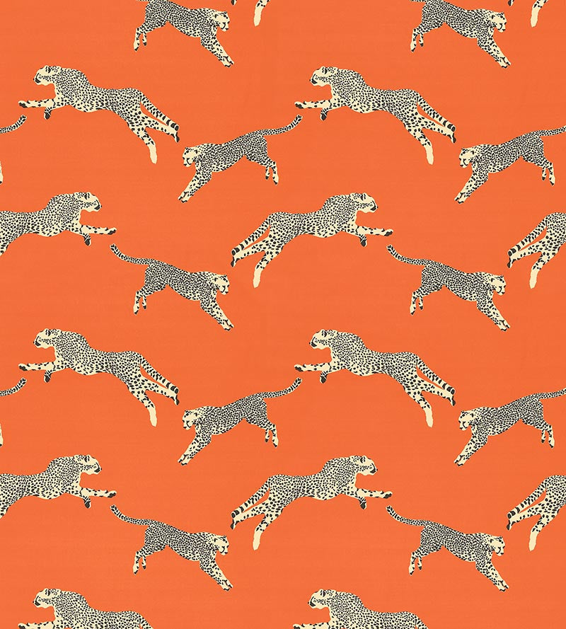 Scalamandre Leaping Cheetah Cotton Print Clementine Fabric SC166340002