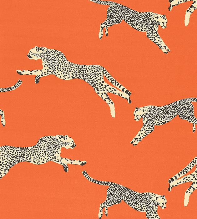 Scalamandre Leaping Cheetah Cotton Print Clementine Fabric SC166340002