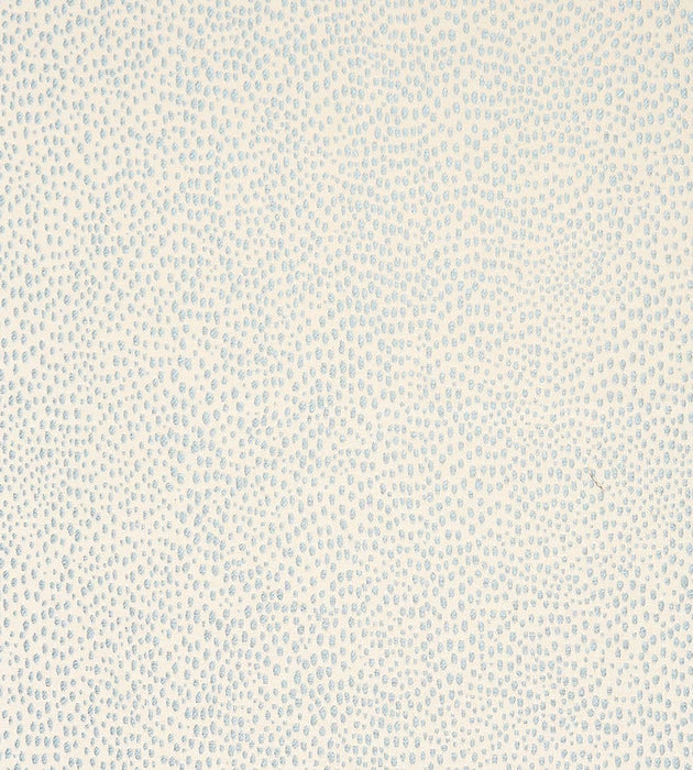 Scalamandre Raindrop Mineral Fabric Sample SC270190002