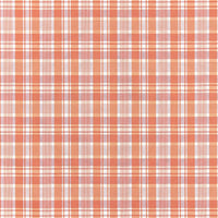 Scalamandre Preston Cotton Plaid Bellini Fabric SC271220002