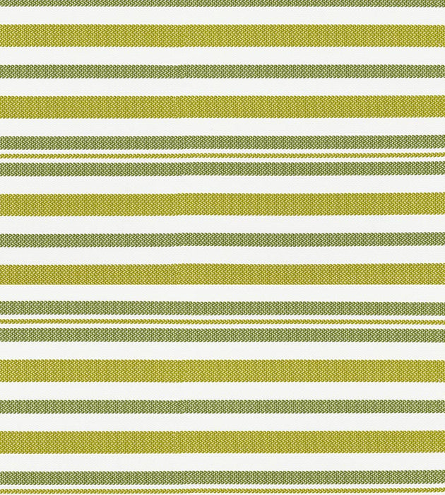 Scalamandre Santorini Stripe Palm Fabric Sample SC271880002