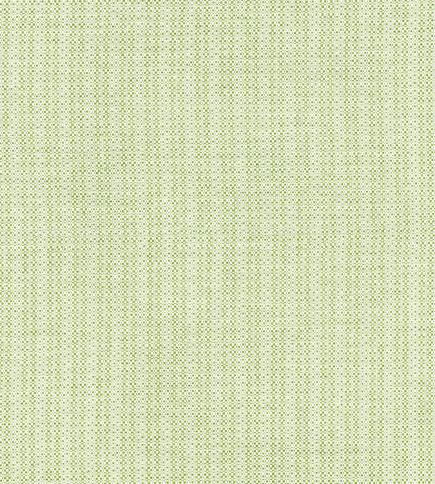 Scalamandre Tahiti Tweed Palm Fabric Sample SC271920002