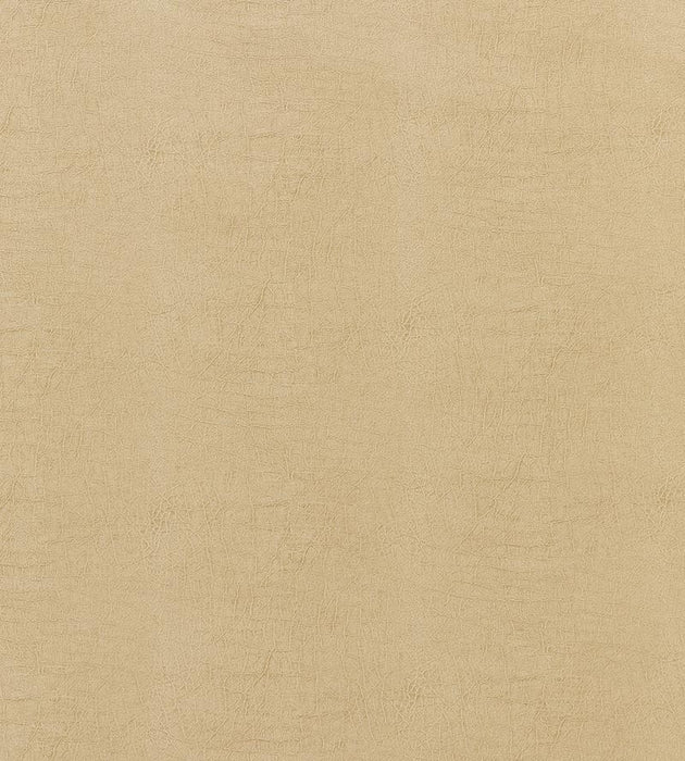 Scalamandre Cary Tan Fabric Sample SC272610002