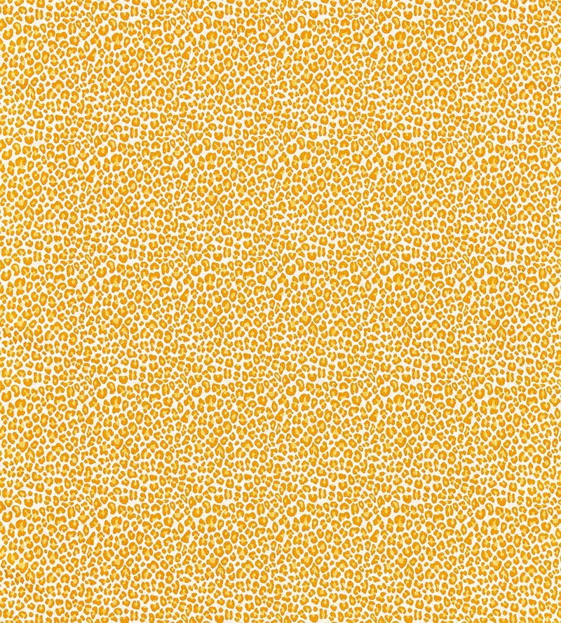 Scalamandre Backyard Bengal Tangerine Fabric SC273160002