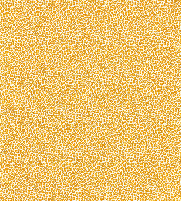 Scalamandre Backyard Bengal Tangerine Fabric SC273160002