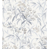 Scalamandre Lanai Silver Mist Wallpaper SCWP884310002