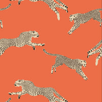 Scalamandre Leaping Cheetah Clementine Wallpaper SCWP88449D0002