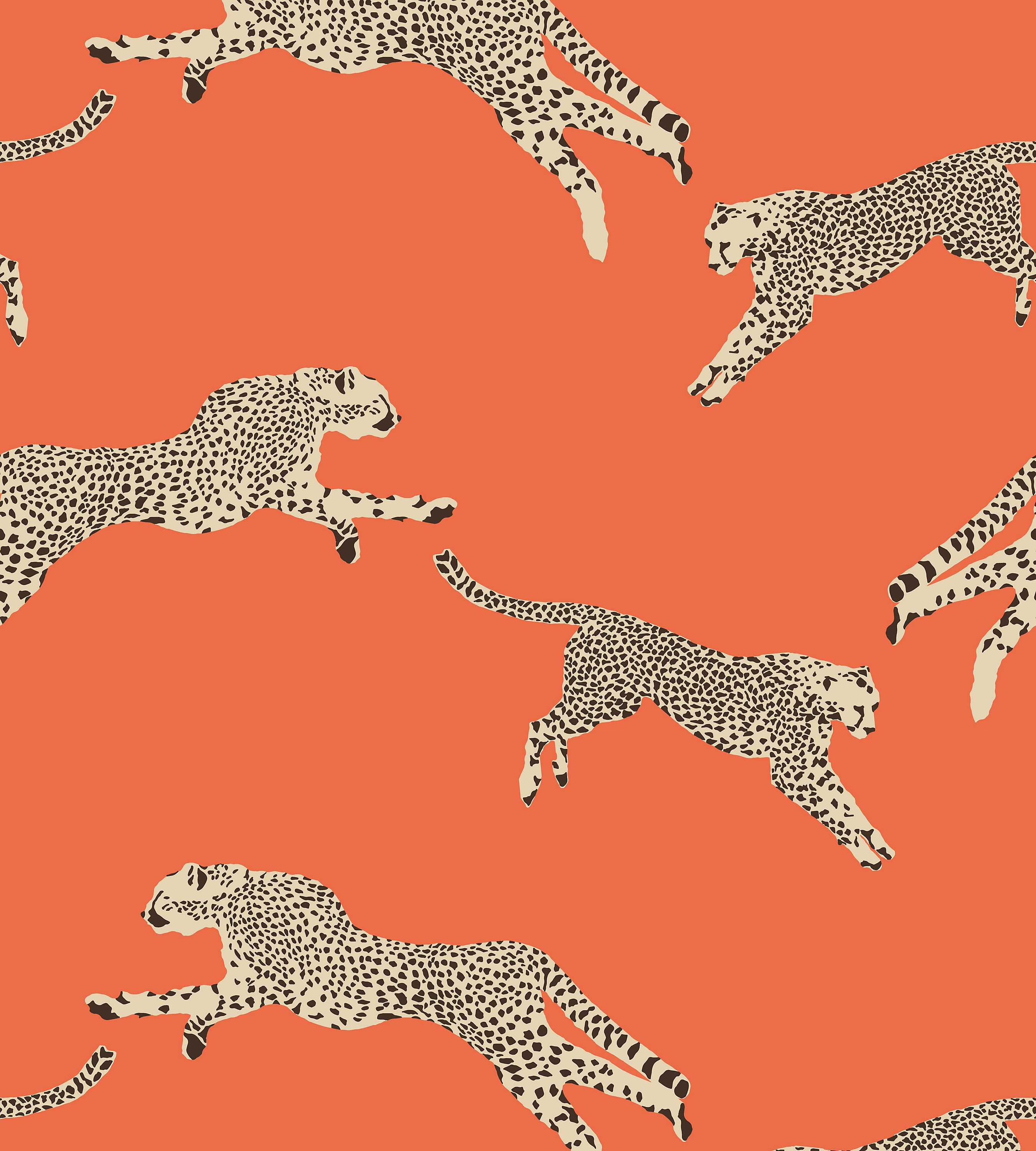 Scalamandre Leaping Cheetah - Removable Clementine Wallcovering Sample SCWP88449PS0002