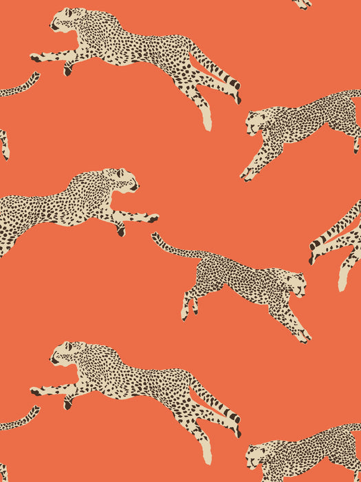 Scalamandre Leaping Cheetah | Removable Clementine Wallpaper SCWP88449PS0002