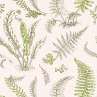 Scalamandre Elsie De Wolfe Ballet Slipper Wallpaper SCWP88592D0002