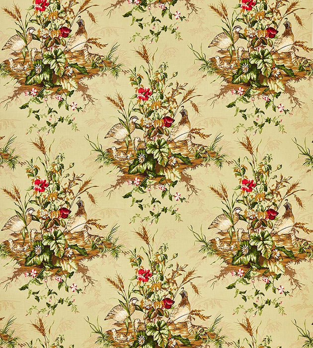 Scalamandre Edwin'S Covey Linen Print Multi On Willow Fabric SC163100003