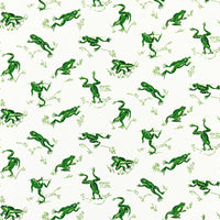 Scalamandre Calabasas County - Outdoor Snap Pea Fabric SC16426M0003