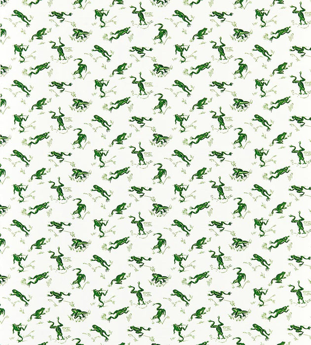 Scalamandre Calabasas County - Outdoor Snap Pea Fabric SC16426M0003