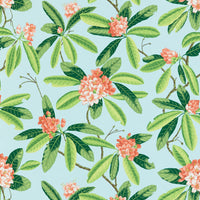 Scalamandre Rhododendron - Outdoor Coral On Aqua Fabric SC16454M0003