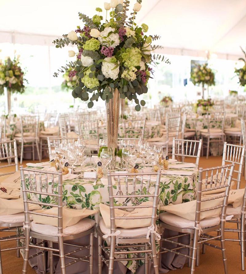 Scalamandre Shantung Garden Cotton Print Verdance Fabric Sample SC165830003