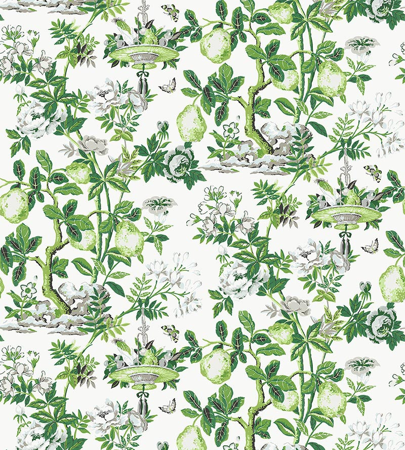 Scalamandre Shantung Garden Cotton Print Verdance Fabric Sample SC165830003