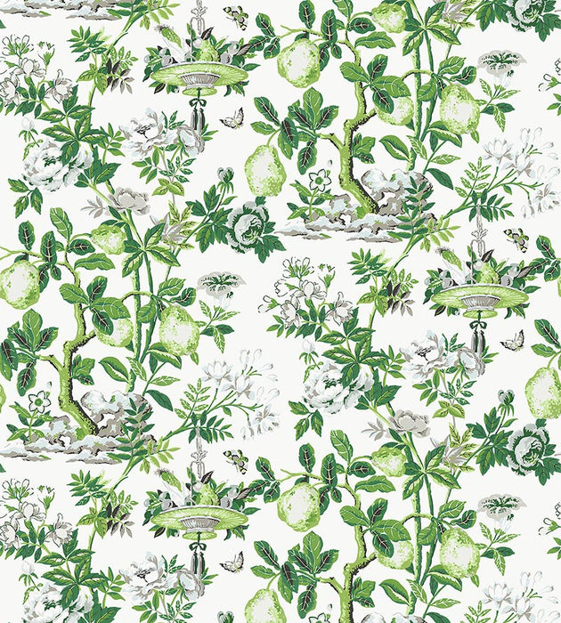 Scalamandre Shantung Garden Cotton Print Verdance Fabric SC165830003