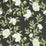 Scalamandre Peonia Linen Print Onyx Fabric Sample SC166160003
