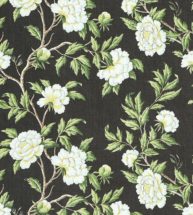 Scalamandre Peonia Linen Print Onyx Fabric Sample SC166160003