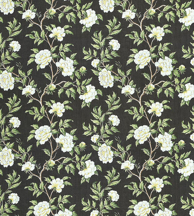 Scalamandre Peonia Linen Print Onyx Fabric Sample SC166160003